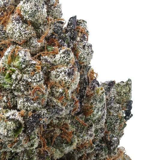 Close-up of frosty cannabis bud with purple, green, and orange pistils