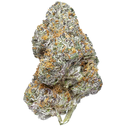 Close-up of dense Killer Cupcake cannabis bud with purple, green, and orange hairs