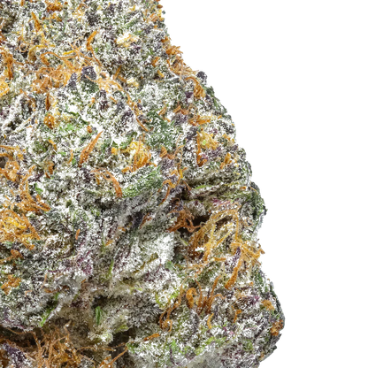 Close-up of colorful cannabis bud with orange hairs and frosty trichomes on white background