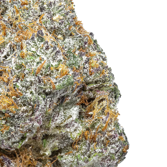 Close-up of colorful cannabis bud with orange hairs and frosty trichomes on white background