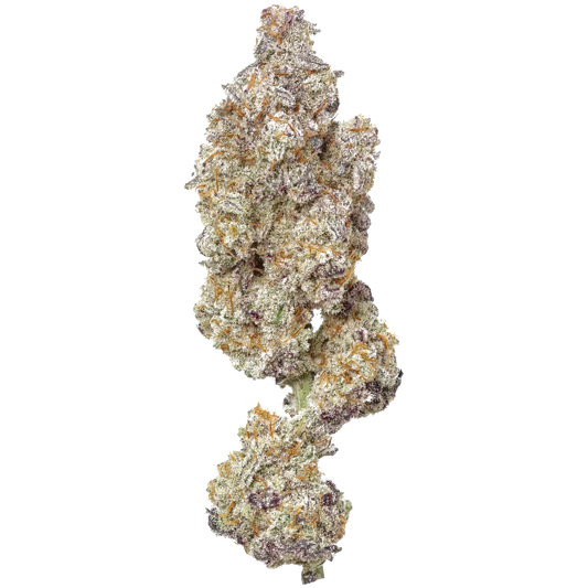 Close-up of frosty MAC 1 cannabis bud with purple hues and orange hairs on white background