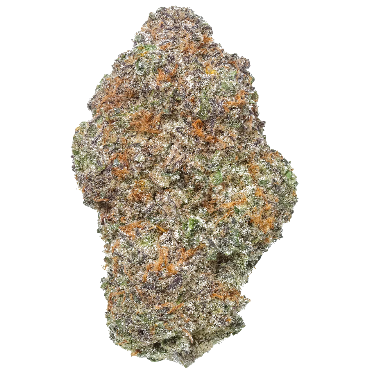 Close-up of frosty cannabis bud with purple, green, and orange hairs on a white background