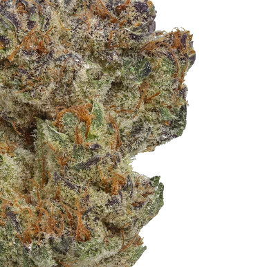 Daily Grape
