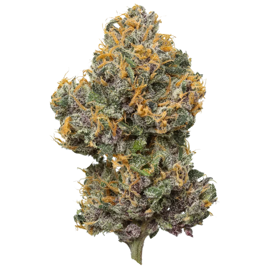 Mystic Mountain Blueberry cannabis bud with orange hairs and frosty trichomes