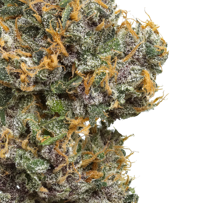 Close-up of frosty Mystic Mountain Blueberry cannabis bud with orange hairs on white background