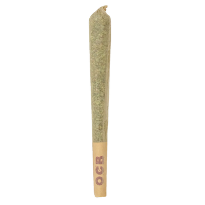 Type 1 (THCa) Pre-Roll