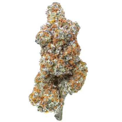 Close-up of frosty cannabis bud with orange hairs on white background