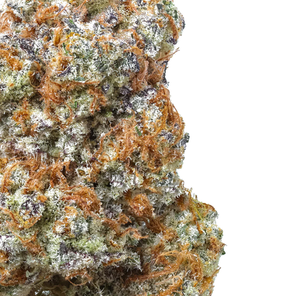 Macro shot of cannabis bud with vibrant orange hairs and frosty trichomes