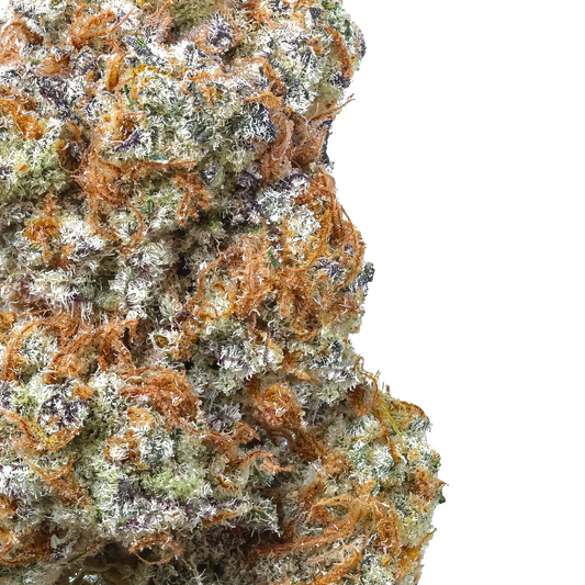 Macro shot of cannabis bud with vibrant orange hairs and frosty trichomes