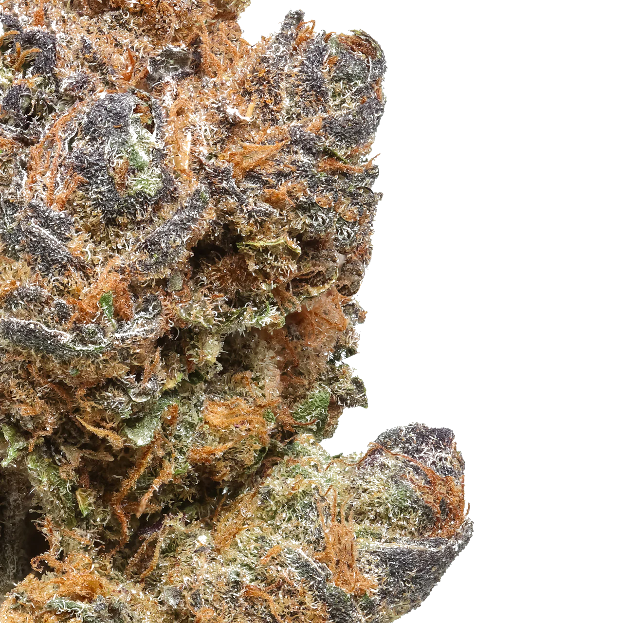 Peanut Butter Breath