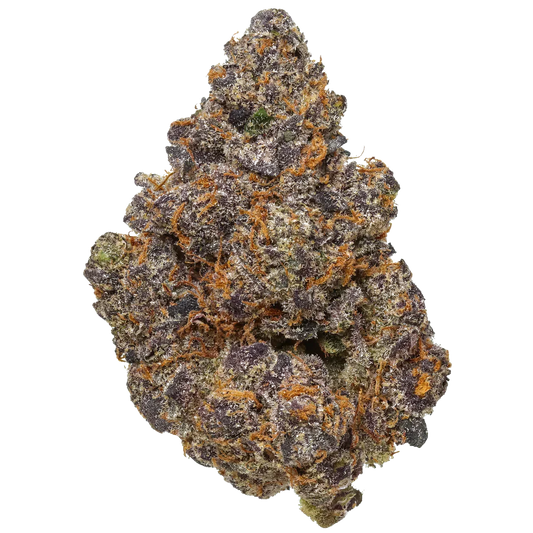 Purple and orange cannabis flower bud on white background