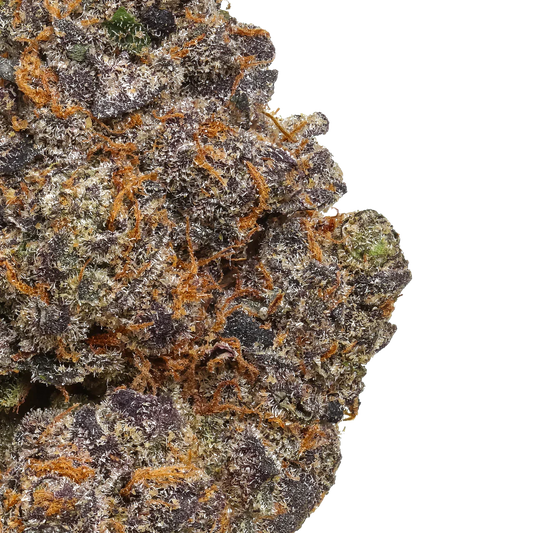 Close-up of purple cannabis bud with orange hairs and frosty trichomes on white background