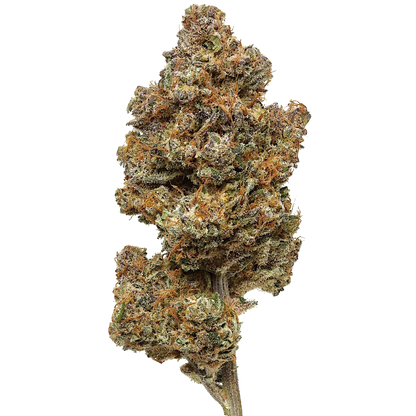 Purple Haze