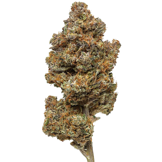 Purple Haze