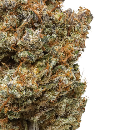 Purple Haze