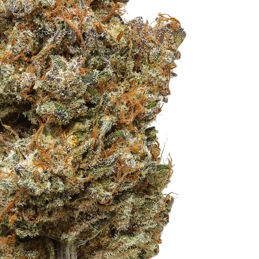 Purple Haze
