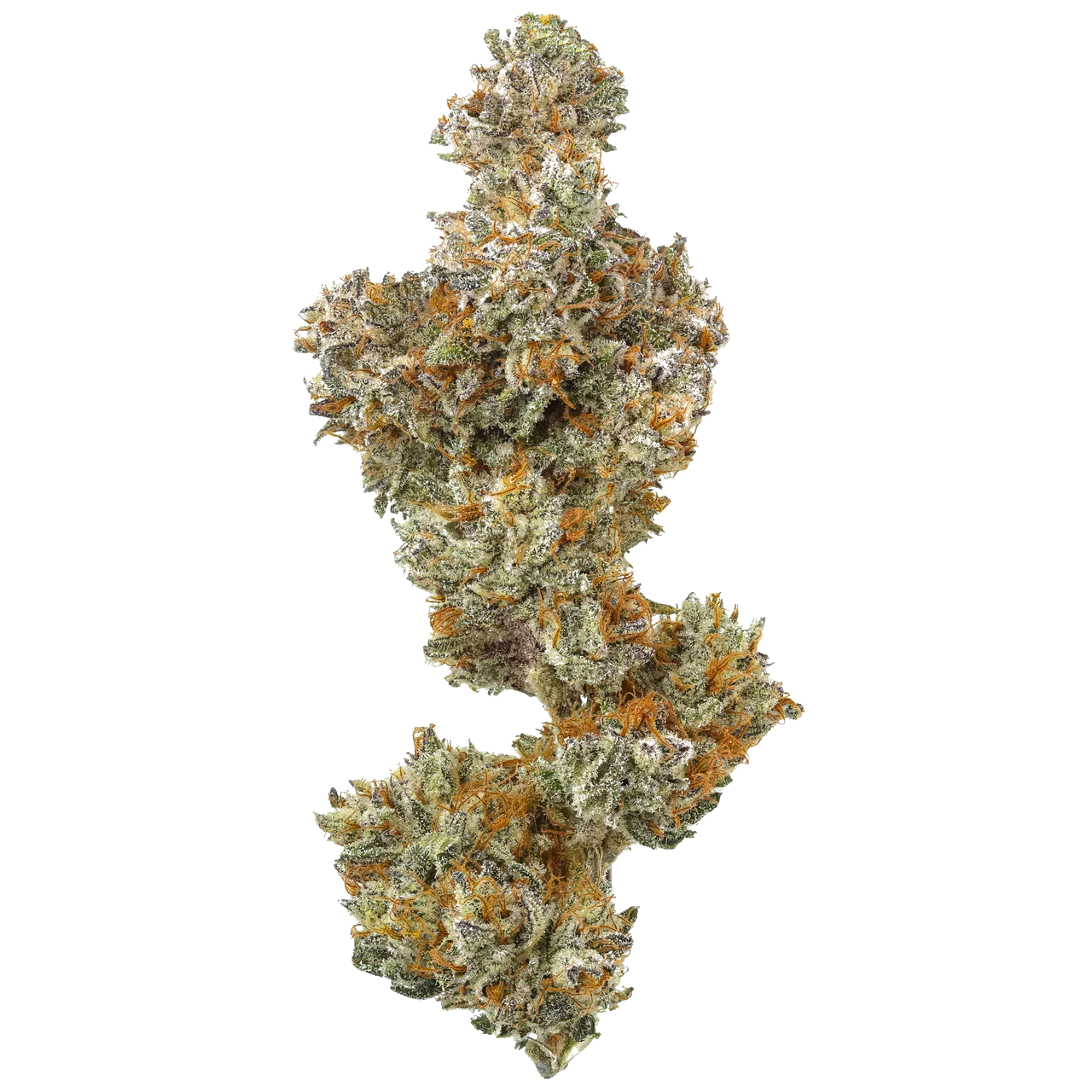 Close-up cannabis bud with frosty trichomes and orange pistils, white background