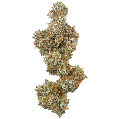 Close-up cannabis bud with frosty trichomes and orange pistils, white background