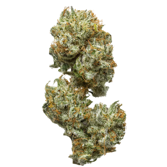 Close-up of Tennessee Moonshine cannabis buds with trichomes and orange hairs