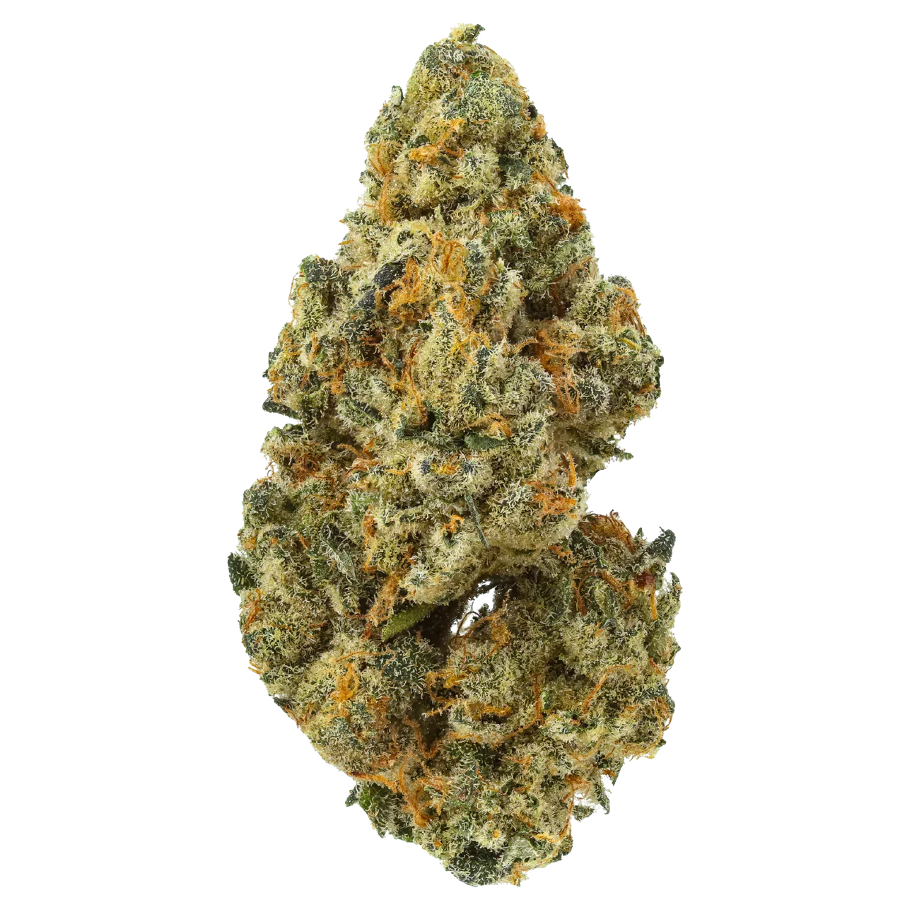 Close-up of a dense cannabis bud with green, orange, and frosty trichomes on white background