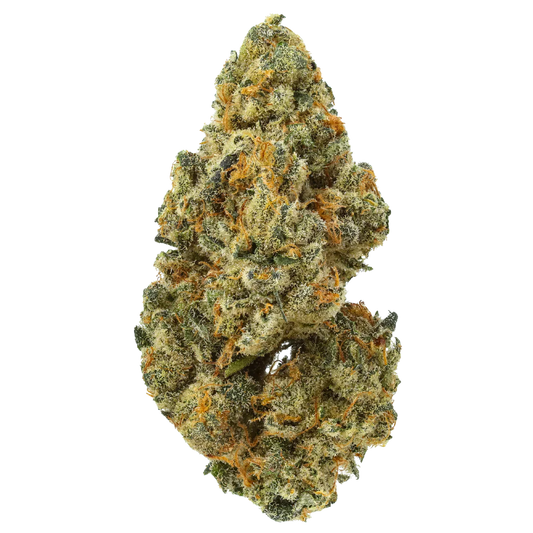 Close-up of a dense cannabis bud with green, orange, and frosty trichomes on white background